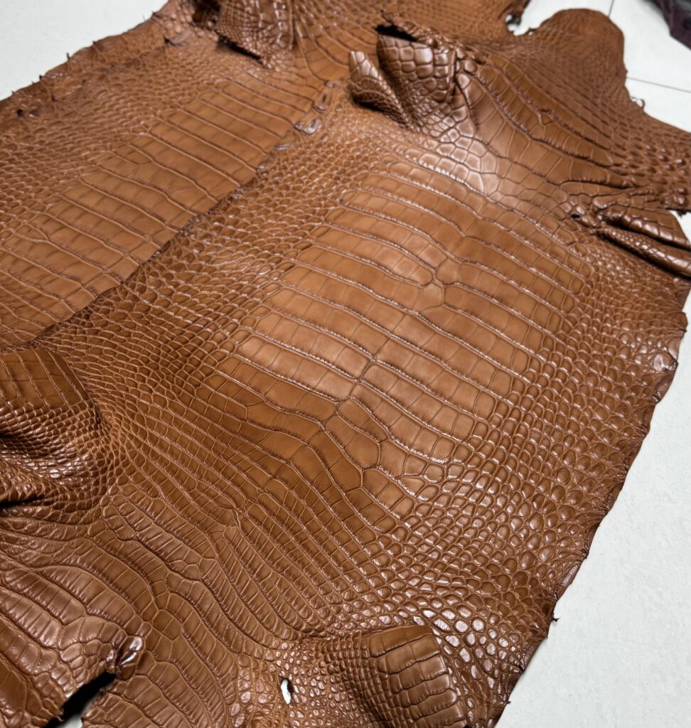 image 美洲鳄 方框鳄 马鞍色鳄鱼皮... 0